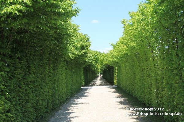 Bayreuth Eremitage - Im Kanalgarten (3)